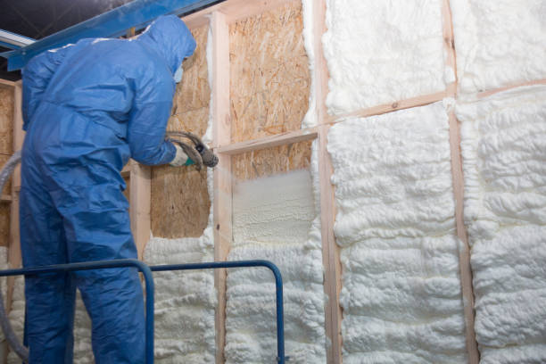 Best Attic Insulation Installation  in Calais, ME